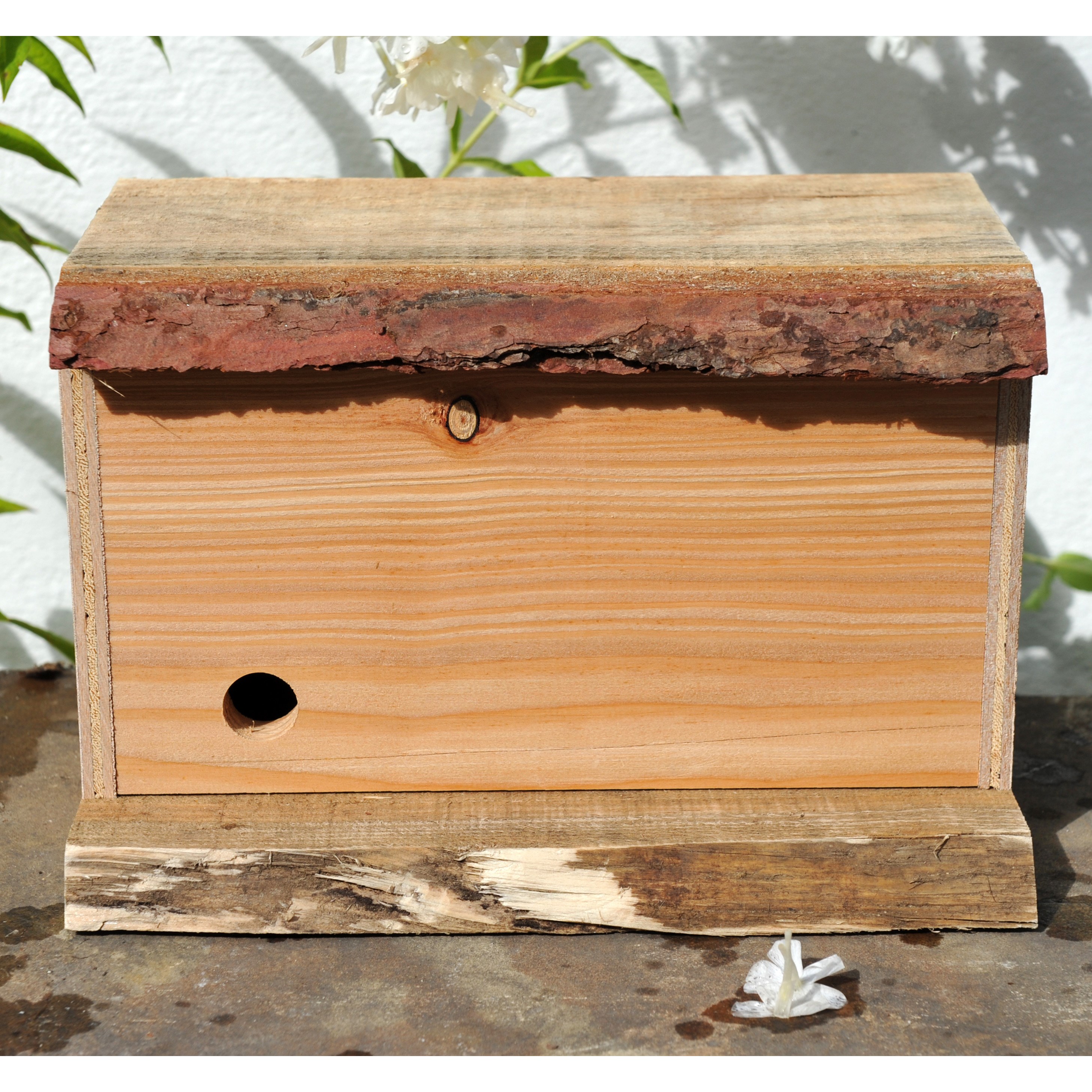 Bumble bee nest