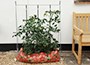 The grow-bag frame
