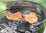barbecue flavouring set