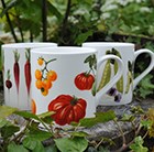 the-victorian-vegetable-mug-set