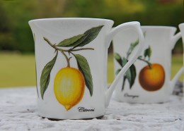 Fruits du soeil mugs
