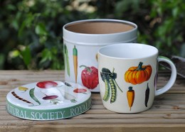 Benary mug in a tin