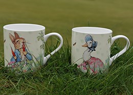 Jemima puddleduck mug
