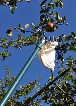 Telescopic fruit picker