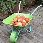 childrens-green-wacky-wheelbarrow