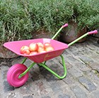 Childrens Pink Wacky Wheelbarrow