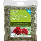 fresh-sphagnum-moss