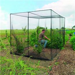 Fruit Cage