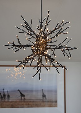 Outdoor star light