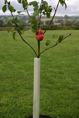 Easy-wrap rabbit tree guard