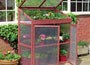 Extra large wooden growhouse