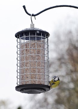 Squirrel resistant seed feeder