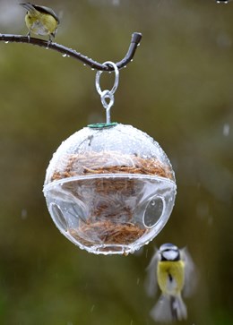 Globe feeder