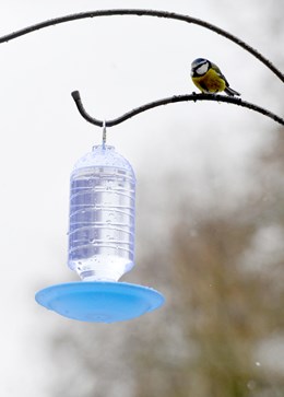 Bird water drinker