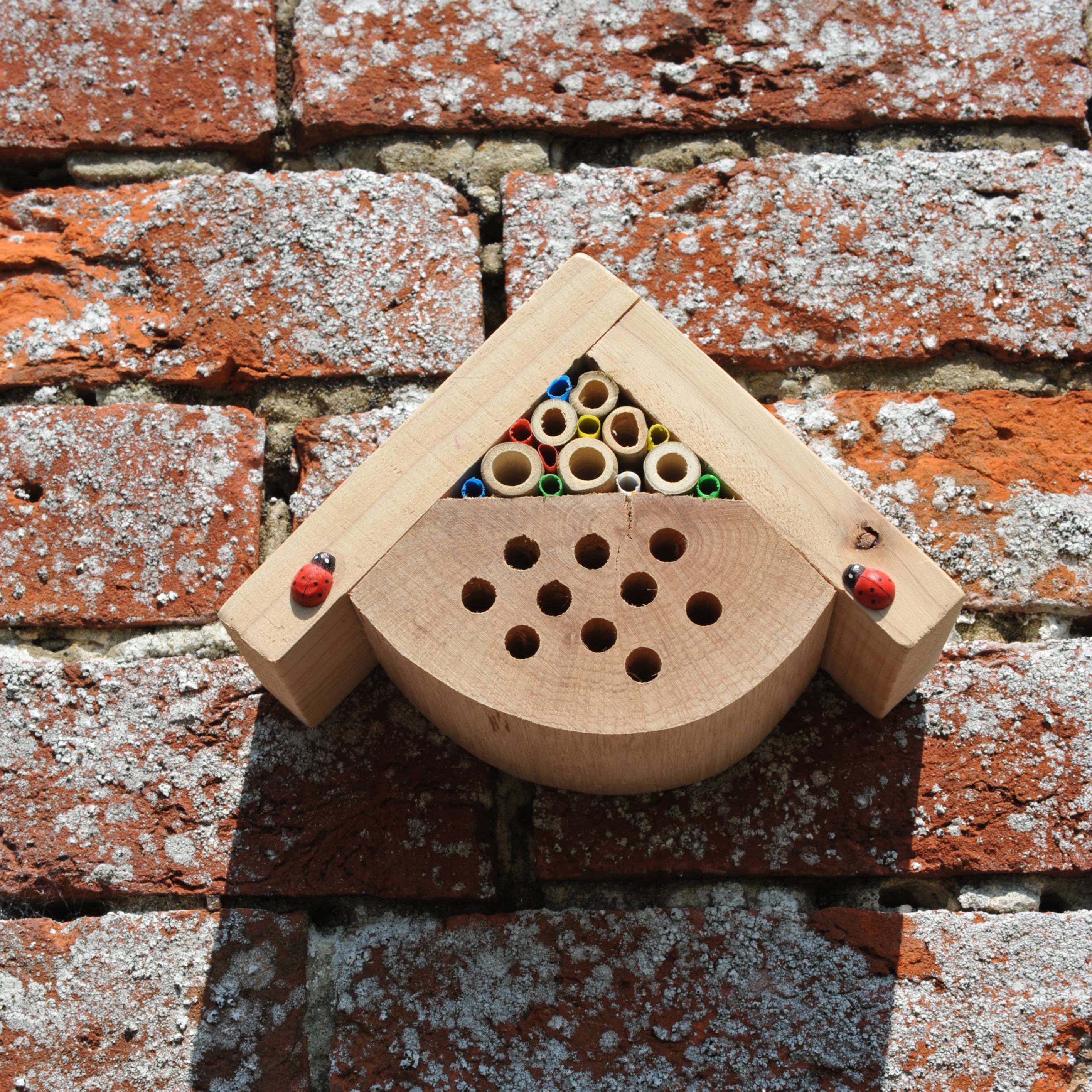 Mini bug box