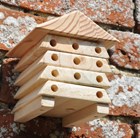 Mini solitary bee hive