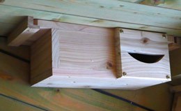 Swift box