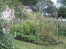 Long fruit cage