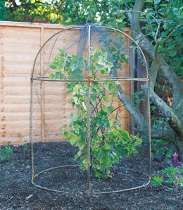 Round fruit cage