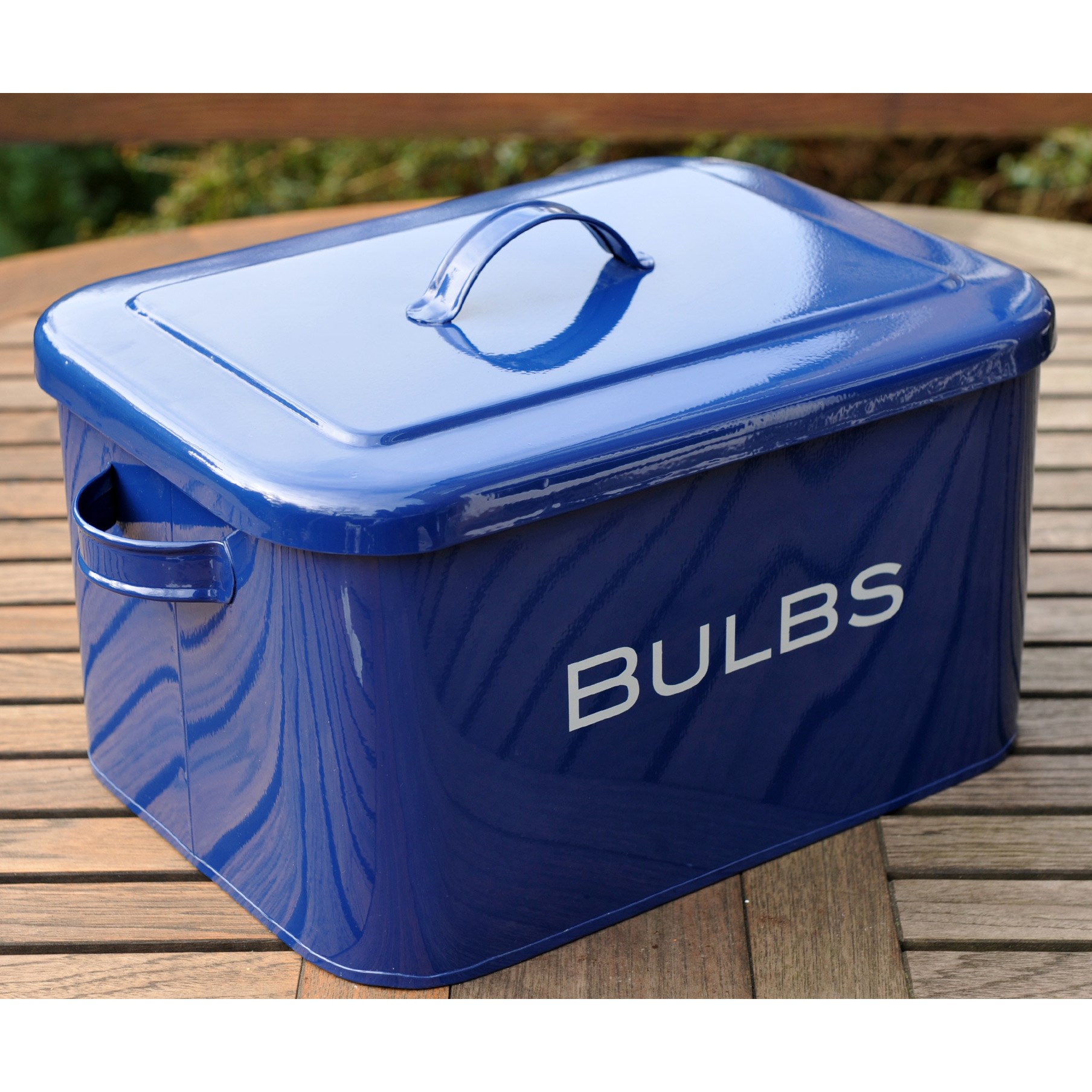Bulb and seed storage box