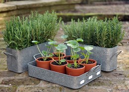 Propagating set