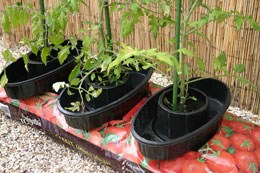 Extra Large Grow-bag watering pots