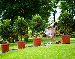 Patio plastic pot