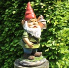 Lantern Gnome