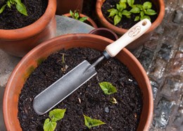 De Wit great dixter trowel