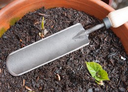 De Wit great dixter trowel