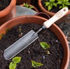 De Wit great dixter trowel