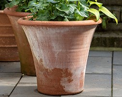 Terracotta arc pot