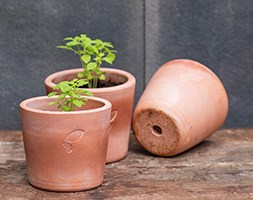 3 Terracotta seedling pots