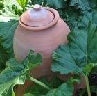 Deluxe terracotta rhubarb forcer