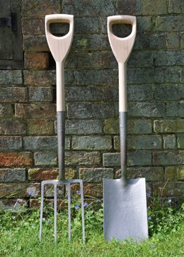 Crocus border fork
