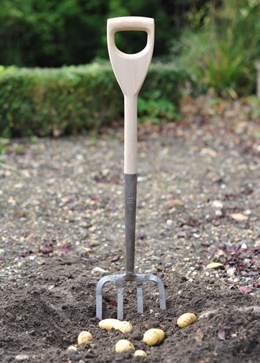 Crocus potato fork