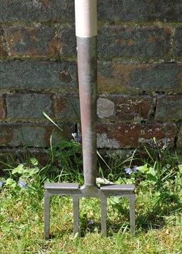 Crocus spiking fork
