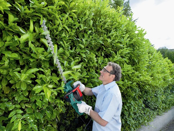 Bosch hedge trimmer 60cm electric heavy duty