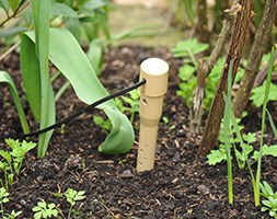 Deep drip tree watering stake