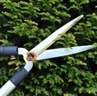 Telescopic hand shears