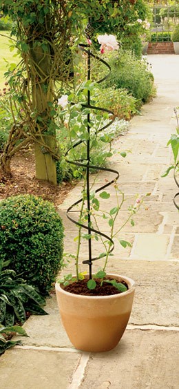 Large blacksmith spiral plant support