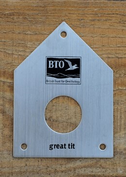 Great tit nest cover plate