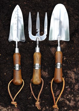 Stainless steel and ash hand tool set
