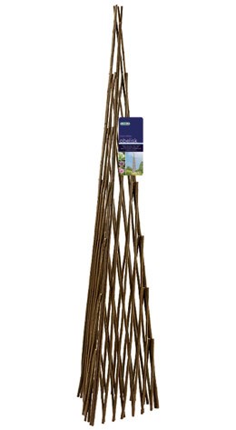Expanding willow obelisk