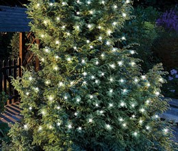 50 Solar LED string lights