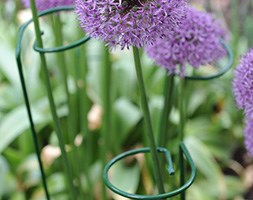 Single stem support