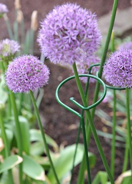 Single stem support