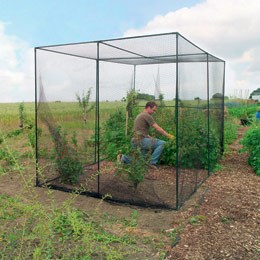 Fruit cage - large