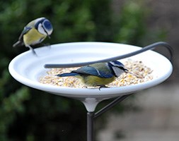 Stake bird bath and feeding bowl