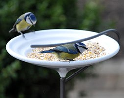 Stake bird bath - white